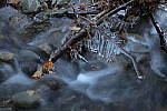 Click to see Y-JG-TAMRON-17-35-9569.JPG