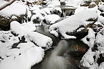 Click to see Y-JG-TAMRON-17-35-9593.JPG