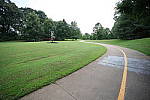 Click to see Y-Laowa15-1C6A8239.JPG