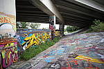 Click to see Y-Laowa15-1C6A8270.JPG