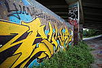 Click to see Y-Laowa15-1C6A8272.JPG