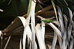Click to see Y1C6A5837.JPG