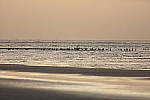 Click to see Y1C6A5921.JPG