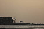 Click to see Y1C6A5924.JPG