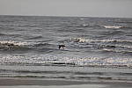 Click to see Y1C6A5929.JPG