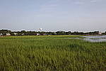 Click to see Y1C6A5996.JPG