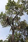 Click to see Y1C6A6382.JPG