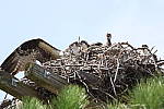Click to see Y1C6A6565.JPG