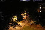 Click to see Y1C6A7281.JPG