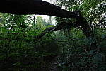 Click to see Y1C6A7291.JPG