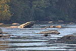 Click to see Y1C6A7303.JPG