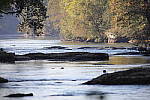 Click to see Y1C6A7345.JPG