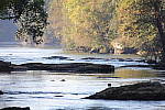 Click to see Y1C6A7347.JPG