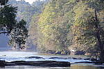 Click to see Y1C6A7349.JPG