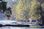 Click to see Y1C6A7351.JPG