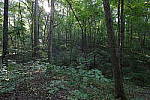 Click to see Y1C6A7367.JPG
