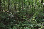 Click to see Y1C6A7371.JPG