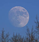 Click to see YTAM-600mm-859-EDT1.JPG