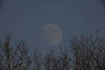 Click to see YTAM-600mm-859.JPG