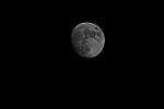 Click to see YTAM-600mm-868.JPG