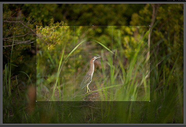 Canon 5DS R Review -- Gallery Photo