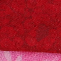 100% crop from Canon 5DS R test image taken at ISO 1600