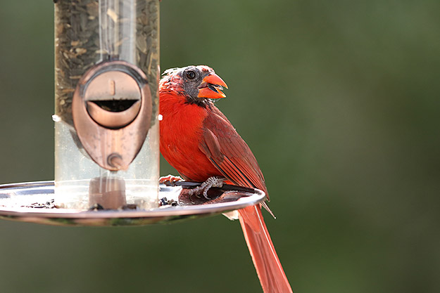 Canon 5DS R Review -- Gallery Photo