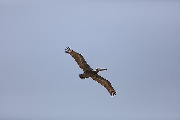 Canon 5DS R Review -- Gallery Photo