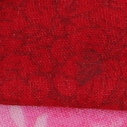 100% crop from Canon 5DS test image taken at ISO 100