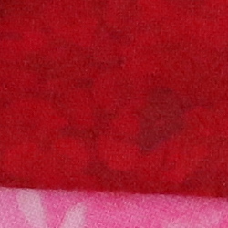 100% crop from Canon 5DS test image taken at ISO 3200