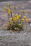Click to see Y_MG_0098-BETA.JPG