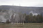Click to see Y_MG_0104-BETA.JPG