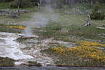 Click to see Y_MG_0106-BETA.JPG
