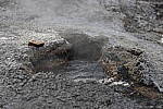 Click to see Y_MG_0108-BETA.JPG