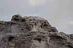 Click to see Y_MG_0115-BETA.JPG