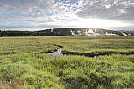 Click to see Y_MG_0157-BETA.JPG