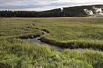 Click to see Y_MG_0170-BETA.JPG