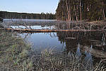 Click to see Y_MG_0335-RAW-BETA.JPG