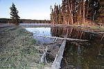 Click to see Y_MG_0343-BETA.JPG