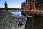 Click to see Y_MG_0345-BETA.JPG