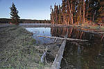 Click to see Y_MG_0345-RAW-BETA.JPG