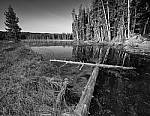 Click to see Y_MG_0345-RAW-MOD-BETA.JPG