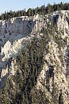 Click to see Y_MG_0366-BETA.JPG