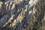 Click to see Y_MG_0374-RAW-BETA.JPG