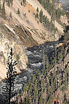 Click to see Y_MG_0454-RAW-BETA.JPG