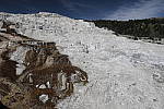Click to see Y_MG_0503-BETA.JPG