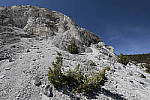 Click to see Y_MG_0511-BETA.JPG