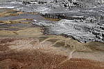 Click to see Y_MG_0519-BETA.JPG