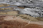 Click to see Y_MG_0519-RAW-BETA.JPG