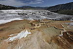 Click to see Y_MG_0536-BETA.JPG